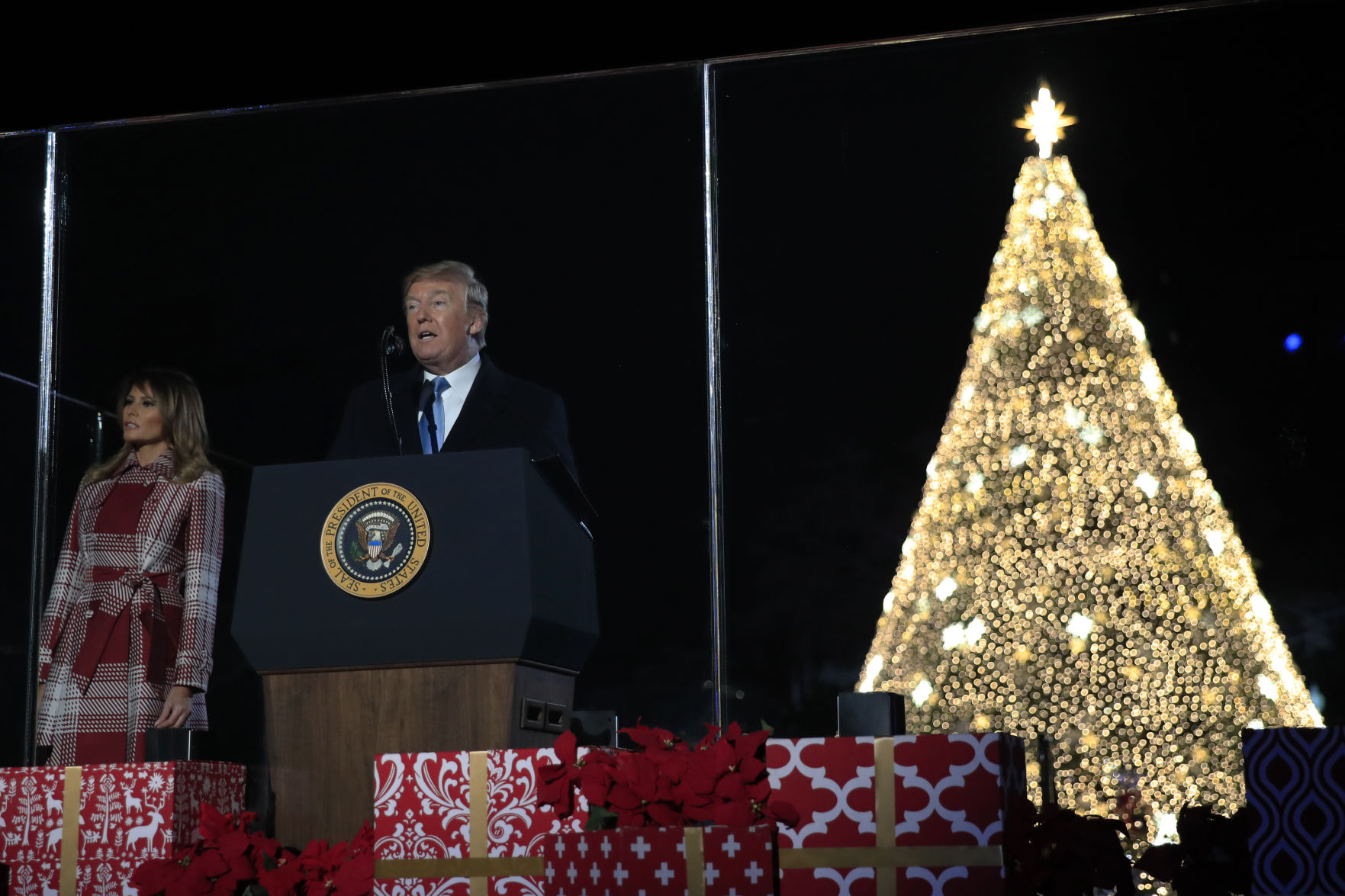 Trump Christmas Tree